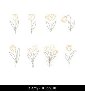 Minimal Tulip Floral Line Collection Stock Vector
