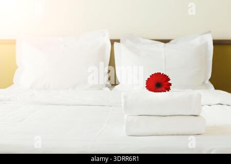 Bright Red Flower on Clean Towels on White Bed in a Simple Hotel Room Setting Stock Photo