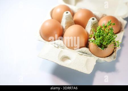 Six brown eggs in an egg carton, in one of them growing cress, still life and greeting card for Easter, light gray background, copy space, selected so Stock Photo