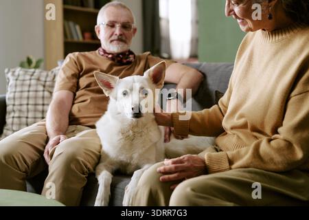Senior Caucasian Couple Sitting with Dog on Sofa and Smiling Indoors Stock Photo