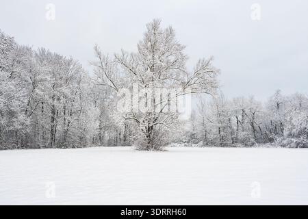 White and snowy winter landscape in Germany's Bavaria. Stock Photo