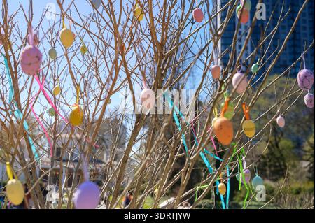 Colorful Easter eggs hanging on tree branches against a clear blue sky in spring. Concept of Easter holiday celebration, traditional street decor, and Stock Photo