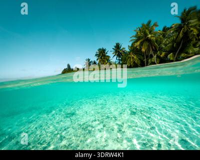 Over Under Split Shot of Crystal Clear Turquoise Water, Sandy Seabed and Palm Trees at Maldives Tropical Beach Stock Photo