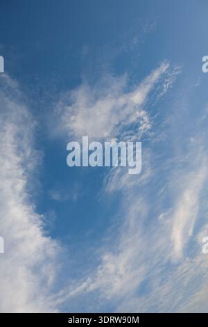 Flock of small birds silhouetted against a bright blue sky, creating a feeling of freedom and migration amidst wispy cirrus and cirrocumulus cloud for Stock Photo