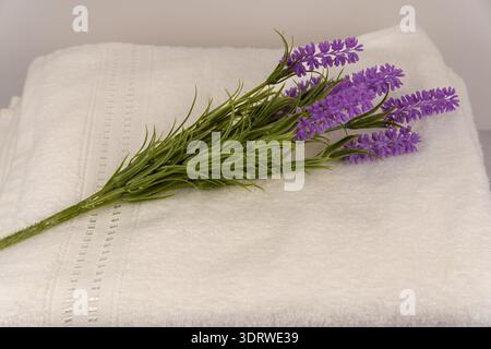 Close-up of lavender on a white towel. Natural aromatherapy and spa wellness concept with soft light and clean background. Stock Photo