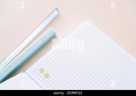 Open grid notebook with green check marks and pens, minimal planning and checklist concept Stock Photo