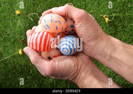 Adult hands holding decorated Easter eggs over green grass with small flowers. Close-up outdoor spring scene with bright natural light. Stock Photo