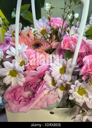 Pink Floral Basket Bouquet with Roses, Gerberas, Carnations and Chrysanthemums Stock Photo