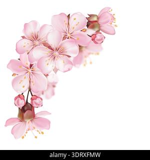 Sakura Blossom Floral 2 Stock Vector