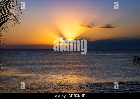 Golden sunrise over a calm tropical ocean with palm tree silhouettes, soft morning light reflecting on the water, creating a peaceful and tranquil sea Stock Photo