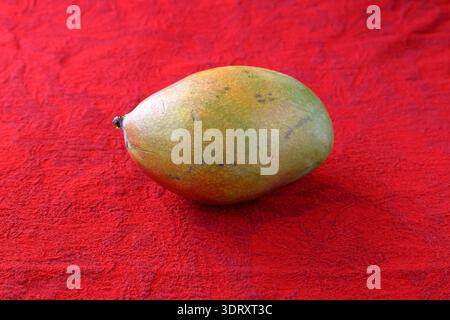 One whole mango fruit. Red cloth as background. Stock Photo