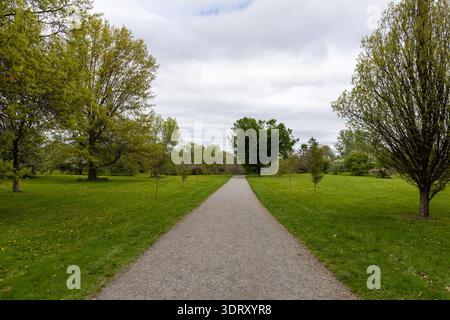 Straight gravel path leading through green park with trees. Empty pedestrian trail in spring garden Stock Photo