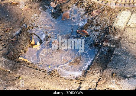Frozen puddle with fallen leaves on the ground, showing intricate ice patterns and cracked pavement Stock Photo