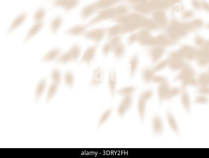 Soft leaf tree shadow, flower plant cast blurred gobo. Light wall bg overlay, tropic branch delicate png. White summer decoration elements. Nature Stock Vector