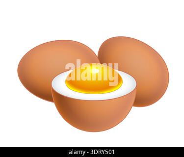 Illustration of a boiled eggs Stock Vector