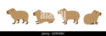 Cute capybara in various positions isolated on white background. Vector hand-drawn doodle illustration in trendy style. Stock Vector