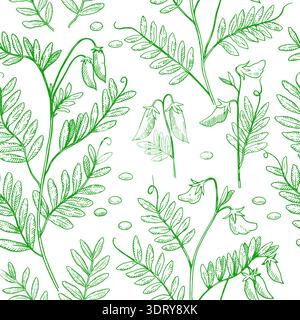 Seamless pattern with lentil plants, pods and beans. Hand-drawn detailed monochrome vector illustration. Stock Vector