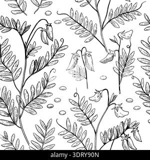 Seamless pattern with lentil plants, pods and beans. Hand-drawn detailed monochrome vector illustration. Stock Vector