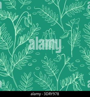 Seamless pattern with lentil plants, pods and beans. Hand-drawn detailed monochrome vector illustration. Stock Vector