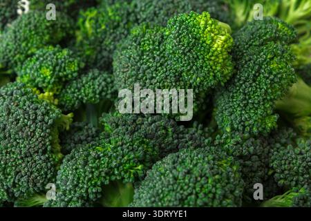 Vegetarian food. Broccoli florets are displayed in an artistic ...