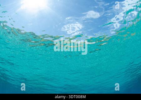 Looking at the surface of the water from below with sunrays in a blue sky and turquoise water Stock Photo