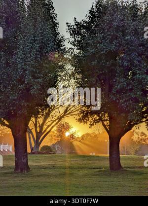 Beautiful sun shining between two trees at sunset Stock Photo