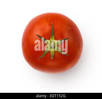 Fresh Tomato on White Background in Simple Display Stock Photo