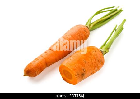 Fresh Carrots in a Nice Arrangement on White Background for Display or Cooking Ideas Stock Photo