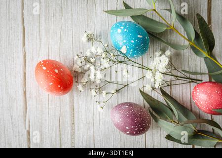Colorful pastel Easter eggs with delicate white flowers and eucalyptus arranged on one side of rustic wooden background with copy space. Soft natural Stock Photo