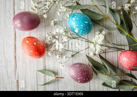 Colorful pastel Easter eggs with delicate white flowers and eucalyptus arranged on one side of rustic wooden background with copy space. Soft natural Stock Photo