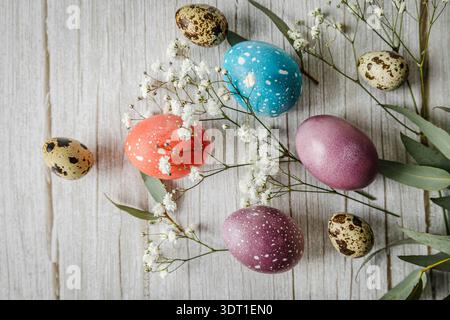 Colorful pastel Easter eggs with eucalyptus branches and delicate white flowers on rustic wooden background. Soft natural spring light and festive atm Stock Photo