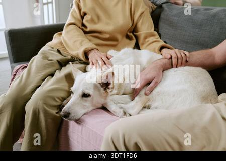 Senior Caucasian Woman and Man Petting Relaxed Dog Sitting on Sofa Stock Photo