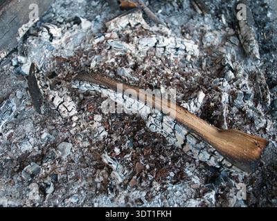 black charcoal and logs with ashes from the campfire Stock Photo