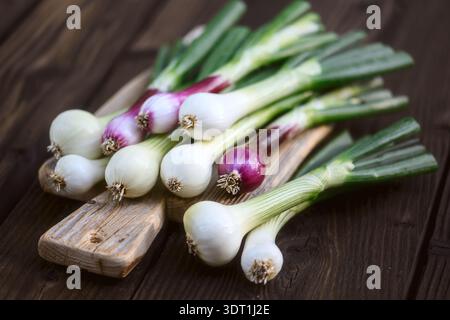 Spring onion bunch on small wooden board, rustic background. Organic scallions close detail, seasonal healthy vegetable ingredient Stock Photo