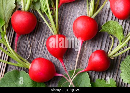 Organic red radishes with stems and roots on wooden board. Farm fresh produce for healthy cooking and organic lifestyle Stock Photo
