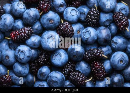Macro shot of blueberries and mulberries, detailed texture and natural bloom. Healthy antioxidant fruit background Stock Photo