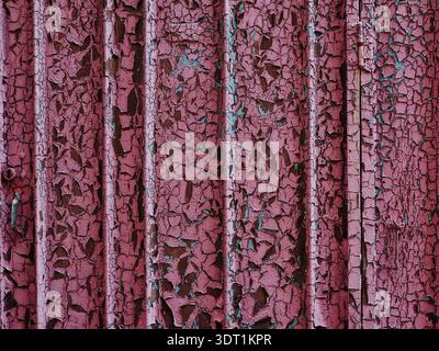Grungy peeling pink paint on corrugated metal surface. Weathered metal with cracked and peeling magenta paint. Industrial abstract decay background. Stock Photo