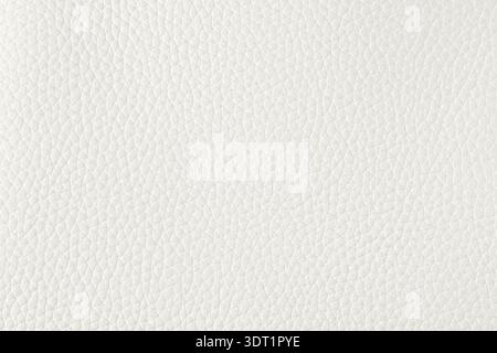 Soft white natural leather sample texture. Abstract leather background in trendy color 2026 year Cloud Dancer with copy space. Stock Photo