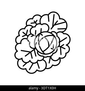 growing cabbage black line icon for digital and print projects. Vegetable cultivation. Minimal clean icons for apps and websites. Modern simple icons Stock Vector