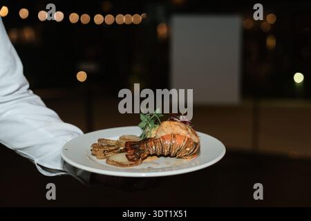 Waiter Serving Gourmet Entrée at Elegant Evening Wedding Reception Stock Photo