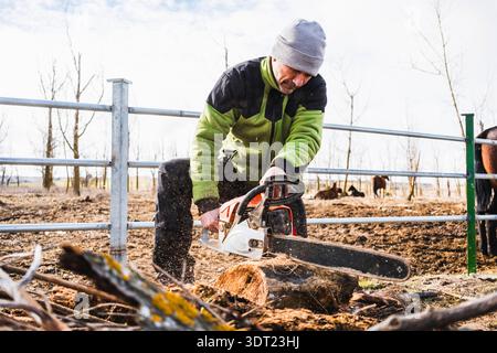 A man wearing a beanie and green jacket cuts a fallen tree trunk with a chainsaw in a rural area. Wooden logs and dust particles surround him as he wo Stock Photo