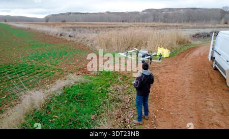 Agricultural operator controlling heavy lift drone configured for solid fertilizer distribution over wheat field in Alfambra, Teruel, Spain. Precision Stock Photo
