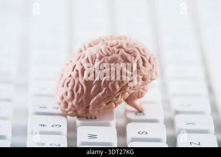 Human brain model on white computer keyboard. Artificial Intelligence, advanced technology or digital thinking concept. Stock Photo