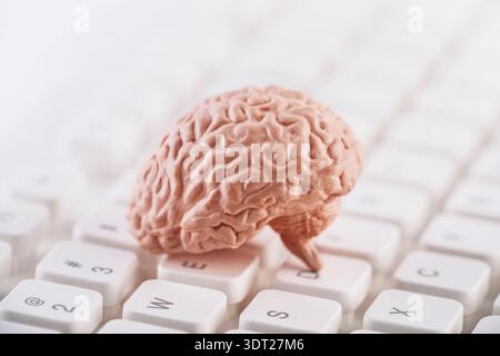 Human brain model on white computer keyboard. Artificial Intelligence, advanced technology or digital thinking concept. Stock Photo
