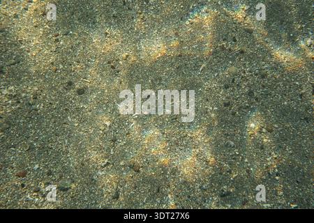 Underwater photo, shallow sea bottom floor seen from top, light refraction making rainbow glares on sand. Abstract marine background Stock Photo