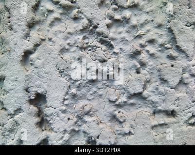 High-resolution macro photograph of a textured gray stone or concrete surface with organic bumps and ridges captured in Budapest Hungary providing a n Stock Photo
