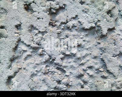 A sharp close-up shot of a weathered gray mineral surface in Budapest Hungary showing detailed pits and ridges perfect for neutral abstract background Stock Photo
