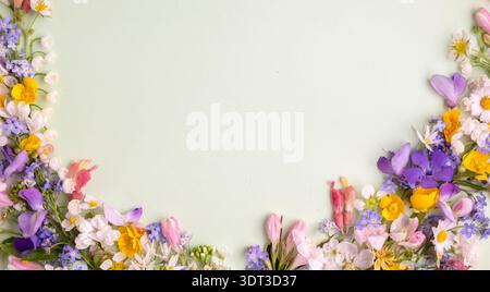 floral flat lay from different wildflowers on a light blue background. Top view  Stock Photo