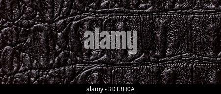 Black shiny reptile leather texture background. Dark embossed crocodile skin textile surface macro. Stock Photo