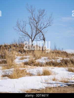 channel marker on frozen lake michigan Stock Photo